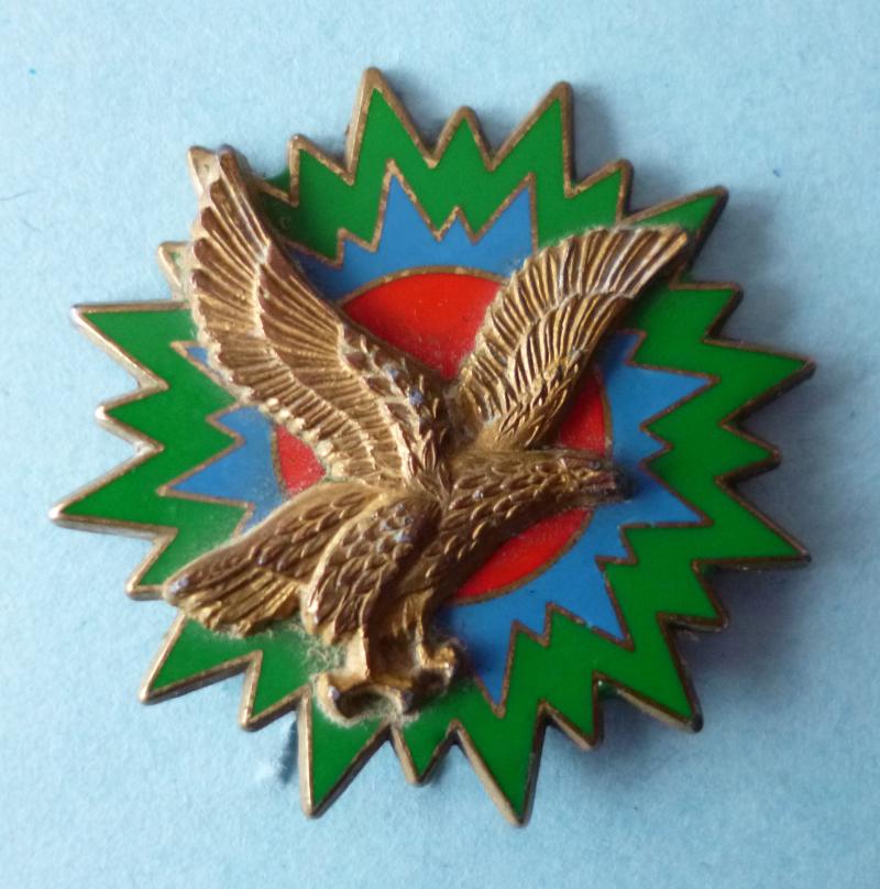 France : Air Force 1st Air Region, Tactical Air Force (Force  Aérienne Tactique (FATAC)) Enamelled Formation Badge.