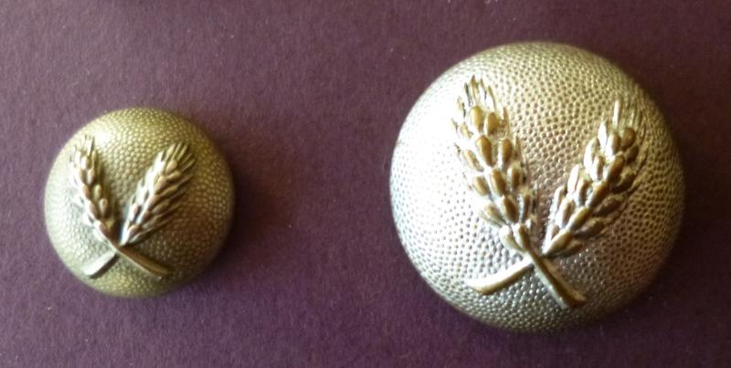 Third Reich / Netherlands : Two Tunic Buttons of the Nederlandse Arbeids Dienst (NAD) - Dutch Labour Service.