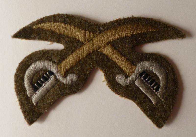 Army Physical Training Instructor (PTI) Arm-badge for Service-dress.