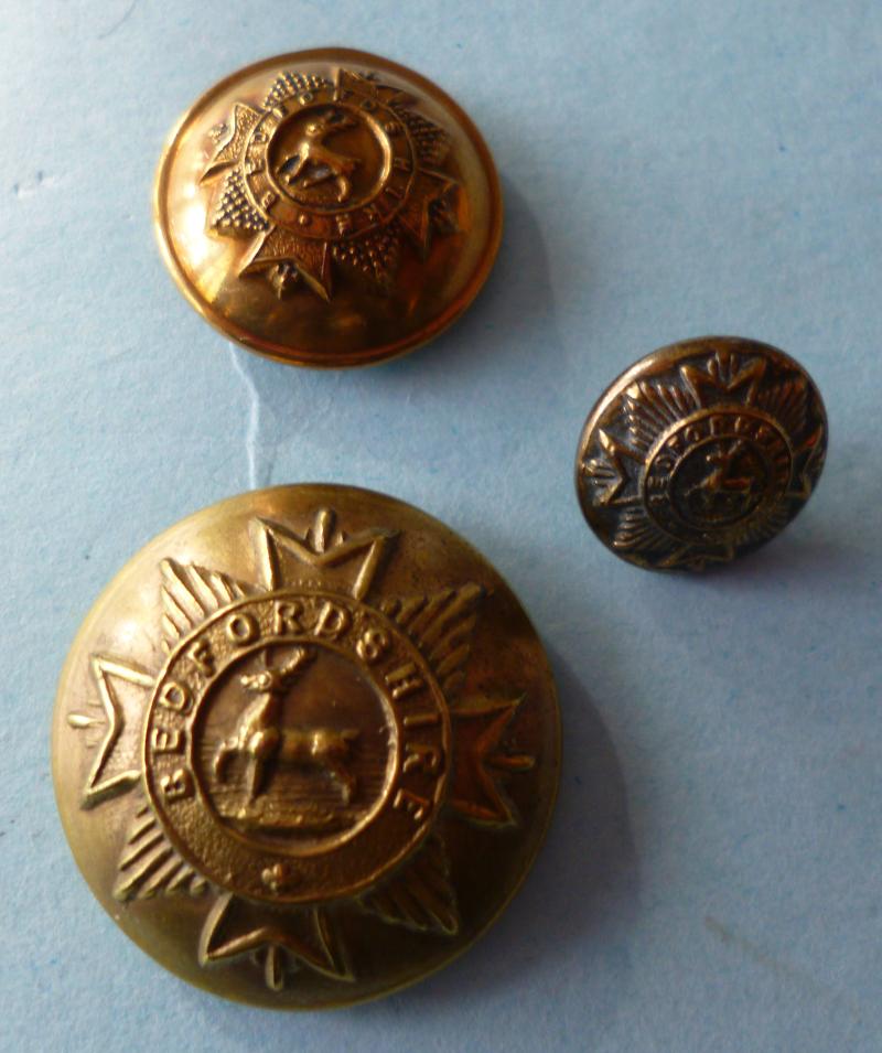 Three Bedfordshire Regimental Brass Buttons.