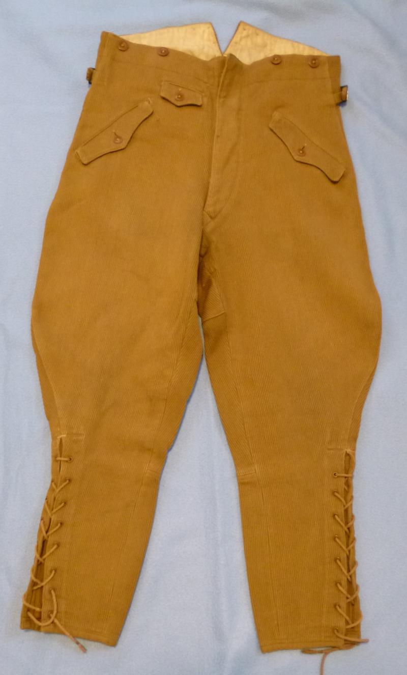 Third Reich : Sturmabteilung (SA) Brown Cord Breeches.