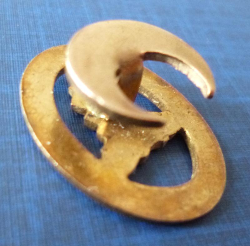 Worcestershire Regiments' Association Membership Lapel-badge.