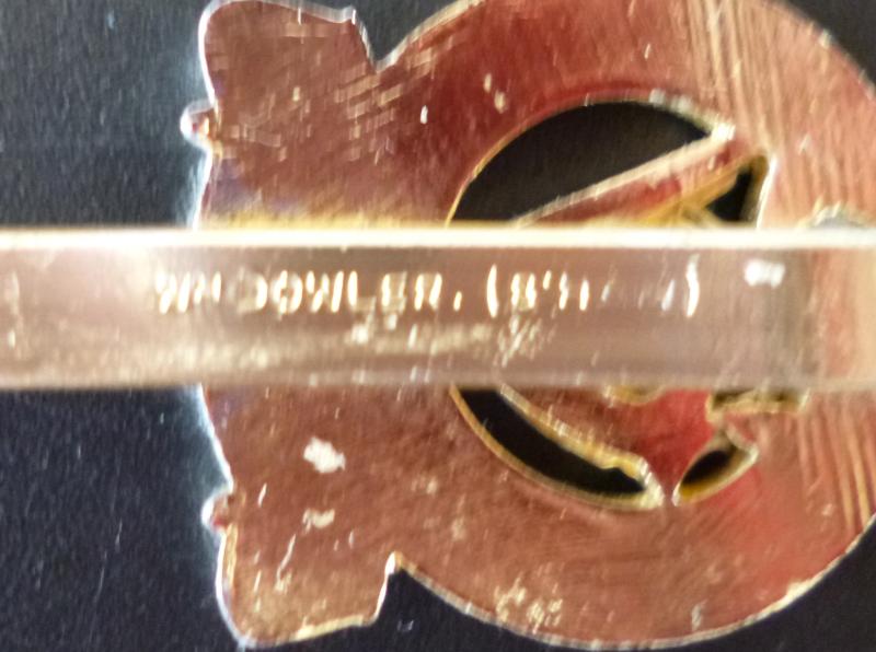 Queen's Royal Irish Hussars Staybrite Cap-badge.
